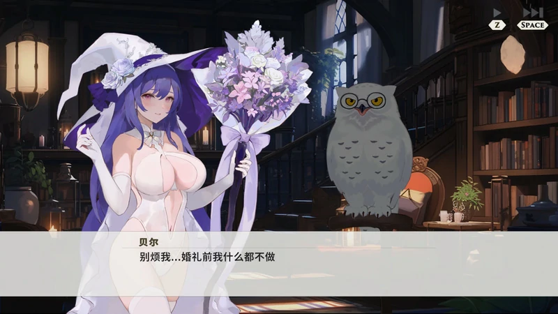 图片[5]-电脑版【ACT 割草游戏 官中】婚礼巫女-大壮游戏