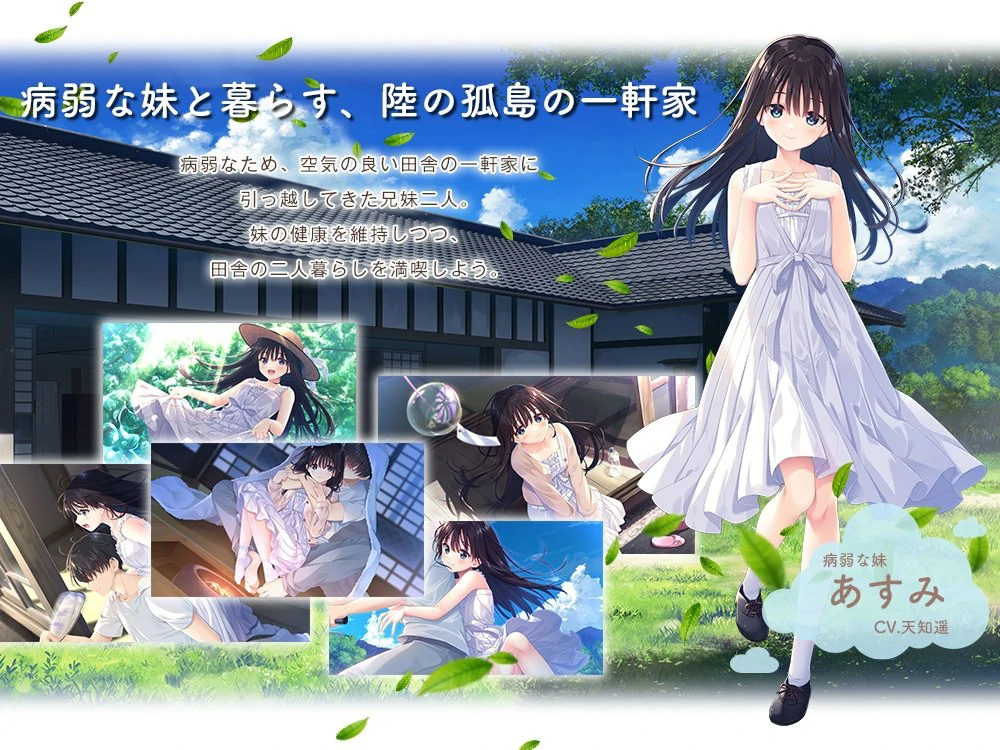 安卓+电脑【爆款RPG全CV】痴情哥哥与病弱妹妹的乡间生活 DLC(1-5) 骑 ty模拟器玩-大壮游戏