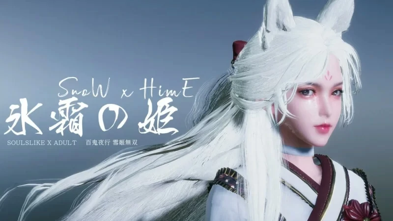 图片[1]-电脑版【神作ACT动态】冰霜之姬v2.0.1 官中 步-大壮游戏