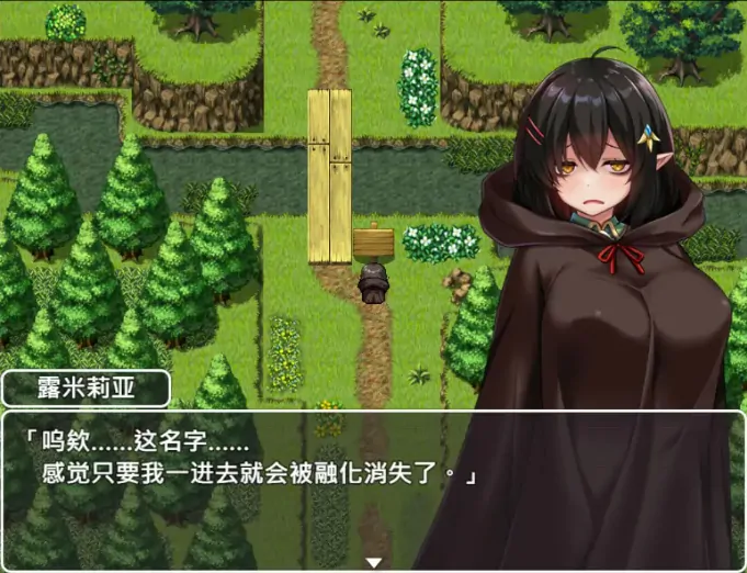 图片[6]-安卓+电脑【精品RPG/恶堕/作弊】悲观巨乳混血精灵想要受尽吹捧 全CG 步-大壮游戏