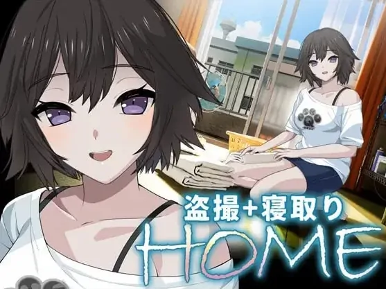 安卓+电脑【爆款SLG/CV/动态/NTL/盗摄】家HOME 自带全回想CG 骑-大壮游戏